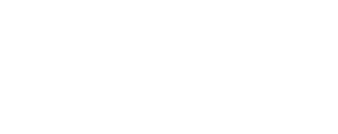 Emprendimiento UDD